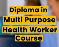 Multi-Purpose Health Worker